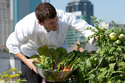 The Rise of Urban Farming