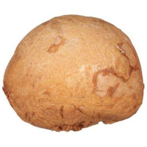 Classic Browned In Oil Turkey Breast