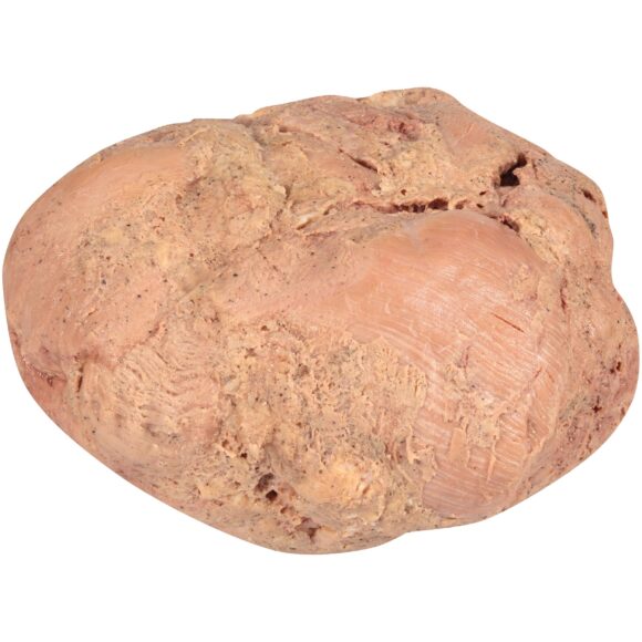 K-12 Turkey Thigh Roast CN